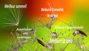 access bars bourg les valences Francoise Forite